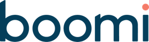Best Boomi Development Company
